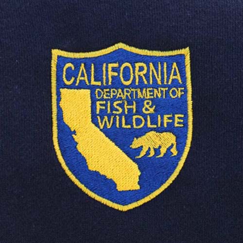 theu vi tinh mau 14 018415328 0